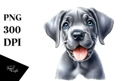 Baby Great Dane with Big Eyes PNG Product Image 1
