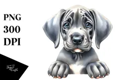 Baby Great Dane with Big Eyes PNG Product Image 1