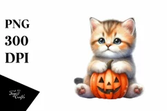 Cute Baby Kitten with Pumpkin PNG Product Image 1