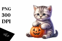 Cute Baby Kitten with Pumpkin PNG Product Image 1