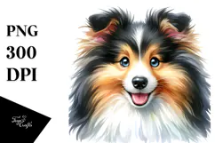 Cute Shetland Sheepdog with Big Eyes PNG Product Image 1