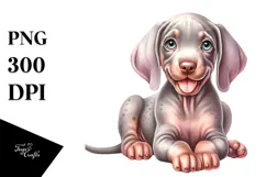 Watercolor Baby Weimaraner PNG Product Image 1
