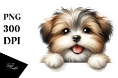 Fun Baby Havanese Clipart Product Image 1