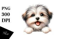 Funny Baby Havanese Over White Paper Product Image 3