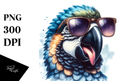Sublimation|Clipart Product Image 1