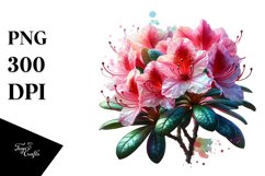 y Rhododendron Clipart Product Image 3