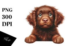 Watercolor Chesapeake Bay Retriever PNG Product Image 1