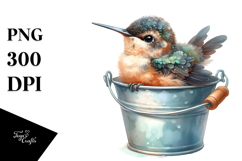 Watercolor Baby Macaw Bucket Sublimation Clipart Product Image 1