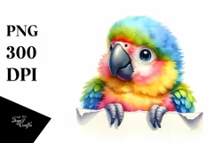 Colorful Baby Macaw | Smiling Watercolor Clipart Product Image 3