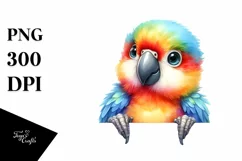 Colorful Baby Macaw | Smiling Watercolor Clipart Product Image 1