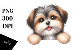 Cute Baby Havanese Over White Paper Product Image 1