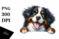 Funny Bernese Mountain Dog Peek | Sublimation | Clipart Product Image 1