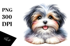 Baby Havanese PNG Product Image 1