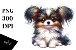 Baby Papillon, Transparent PNG Product Image 1