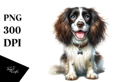 Baby English Springer Spaniel PNG Product Image 1