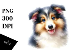 Baby Collie with Big Eyes PNG Product Image 1