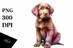 Cute Chesapeake Bay Retriever Clipart, Transparent PNG Product Image 1