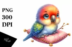 Colorful Small Baby Parrot With Pillow | Sublimation | Product Image 3