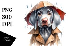 Expressive Weimaraner with Rain Coat PNG Product Image 3