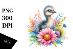 Baby Rhea Above Flower | Funny Watercolor Clipart Product Image 3