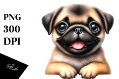 Happy Baby Pug PNG Product Image 1