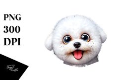Crazy Looking Bichon Frise Product Image 1