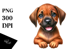 Cute Baby Rhodesian Ridgeback, PNG Product Image 1