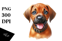 Watercolor Baby Rhodesian Ridgeback PNG Product Image 1