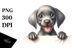 Funny Baby Weimaraner Watercolor Clipart Product Image 3