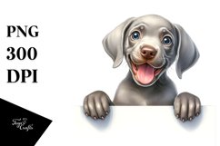 Funny Baby Weimaraner Watercolor Clipart Product Image 3