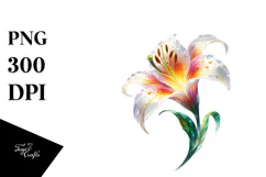 Lily with Watercolor Splash, Transparent PNG Product Image 1