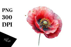 Poppy Watercolor Splash PNG Product Image 1