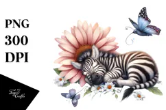 Baby Zebra Sleeping on Flower PNG Product Image 1