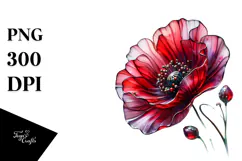 Poppy Watercolor, PNG Product Image 1