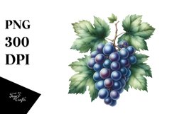 Sublimation|Clipart Product Image 3