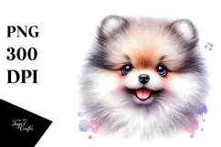 Happy Baby Pomeranian PNG Product Image 1