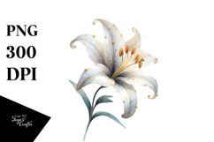 Lily Watercolor, PNG Product Image 1