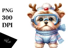 Dressed for Winter Baby Havanese PNG Product Image 1