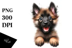 Cute Baby Malinois with Big Eyes PNG Product Image 1