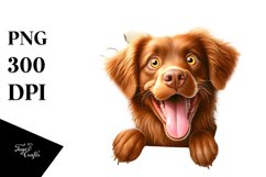 Crazy Chesapeake Bay Retriever Clipart Product Image 3