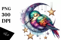 Vibrant Baby Hummingbird Sleeping on the Moon Product Image 1