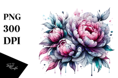 Peonies Watercolor, PNG Product Image 1