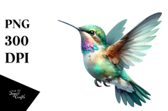 Vibrant Baby Hummingbird Product Image 1