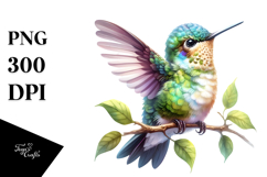 Vibrant Baby Hummingbird Product Image 1