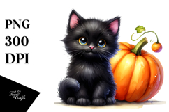Baby Black Cat Pumpkin Product Image 1