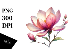 Magnolia Watercolor, PNG Product Image 1