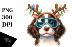 Expressive Baby English Springer Spaniel PNG Product Image 3