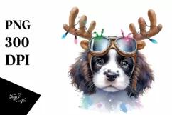 Expressive Baby English Springer Spaniel PNG Product Image 3