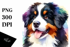 Bernese Mountain Dog Watercolor Clipart Product Image 1
