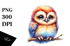 Baby Owl | Watercolor | Sublimation Product Image 1
